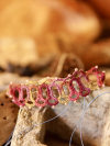 "Sunwarmed Trellis" Adjustable Tatted Lace Bracelet